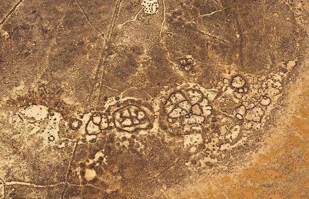 纳斯卡线条 快懂百科