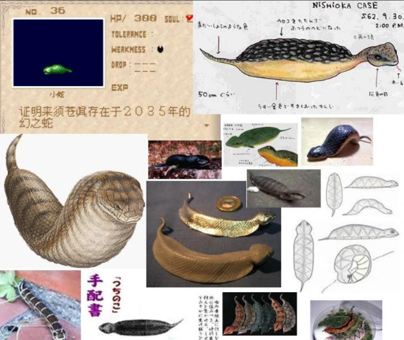 幻之蛇 快懂百科