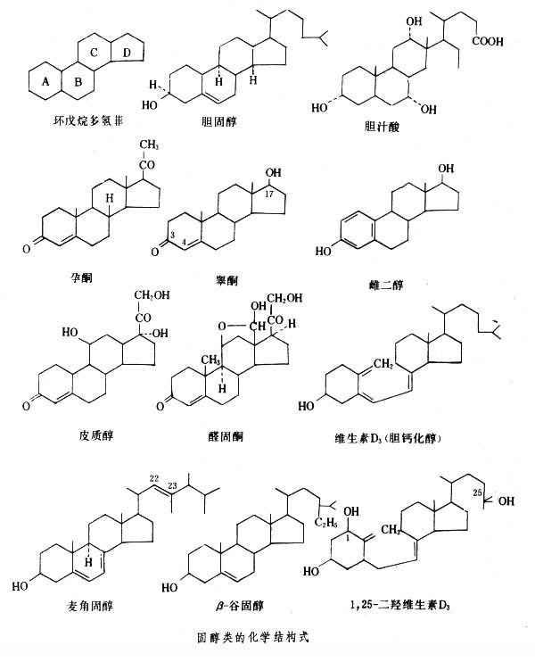 百科资源 快懂百科