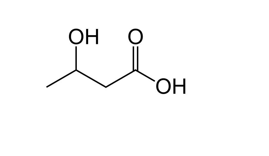 β 羟丁酸 快懂百科