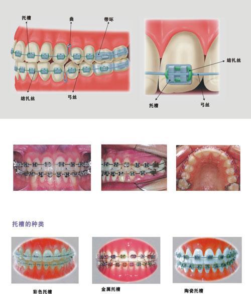 百科资源 快懂百科