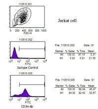 T淋巴细胞活化小鼠抗人cd3单抗 T淋巴细胞活化小鼠抗人cd3单抗 头条百科