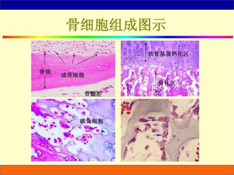 百科资源 快懂百科