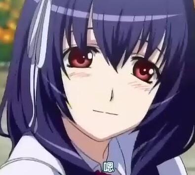 圣痕炼金士 快懂百科