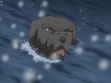 银牙传说 快懂百科