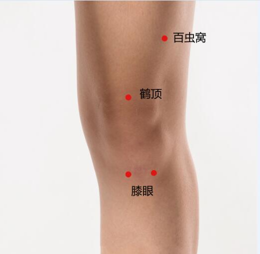 膝眼穴