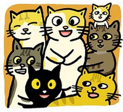 黄阿玛的後宫生活 猫咪哪有那麼可爱 快懂百科